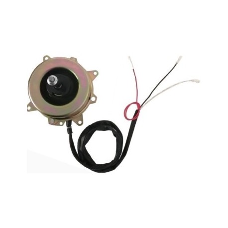 Motor Condensador CW 73W-220V-4 Polos