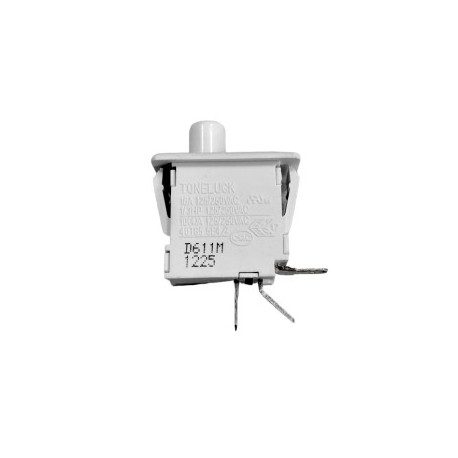 Interruptor Puerta / 248C1157P001